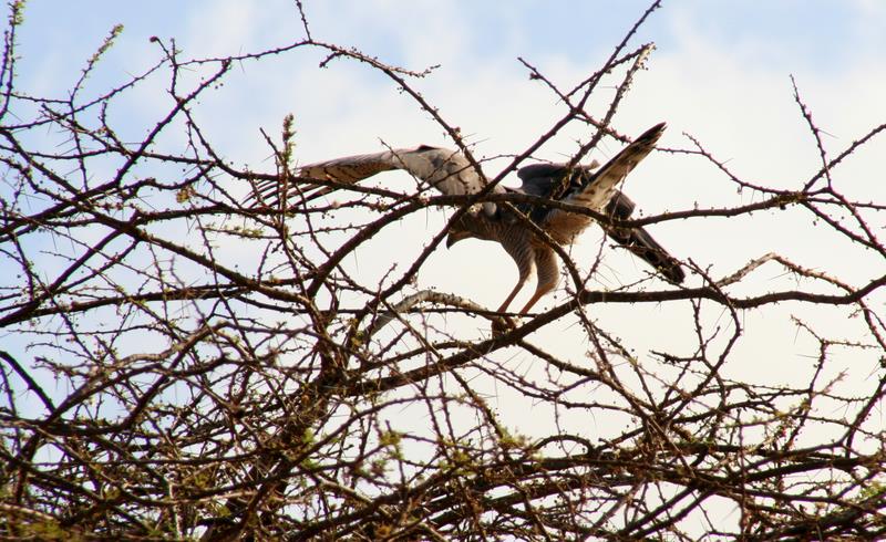 kenya_2007_0719